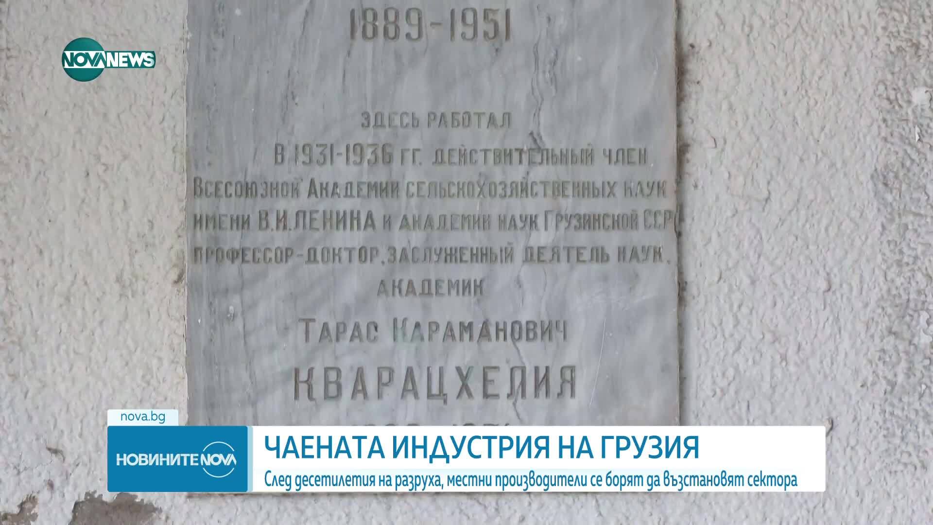 Грузинският чай се завръща на пазарите