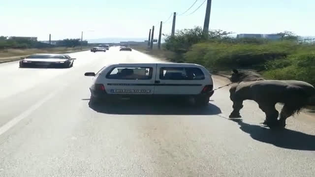 От "Моята новина: Кв. "Факултета"