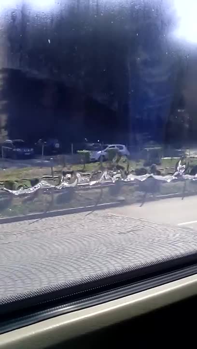 Когато с изумление откриеш,че прозорецът ... ами,пълен е с вода ...