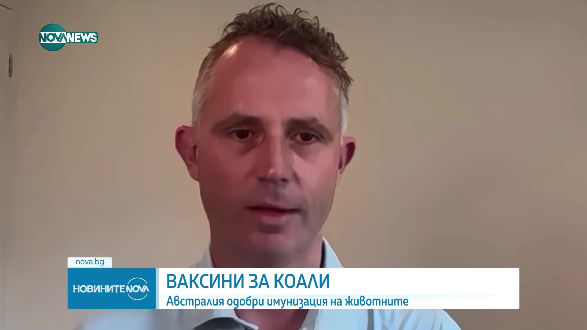 Ще ваксинират коалите в Австралия срещу хламидия
