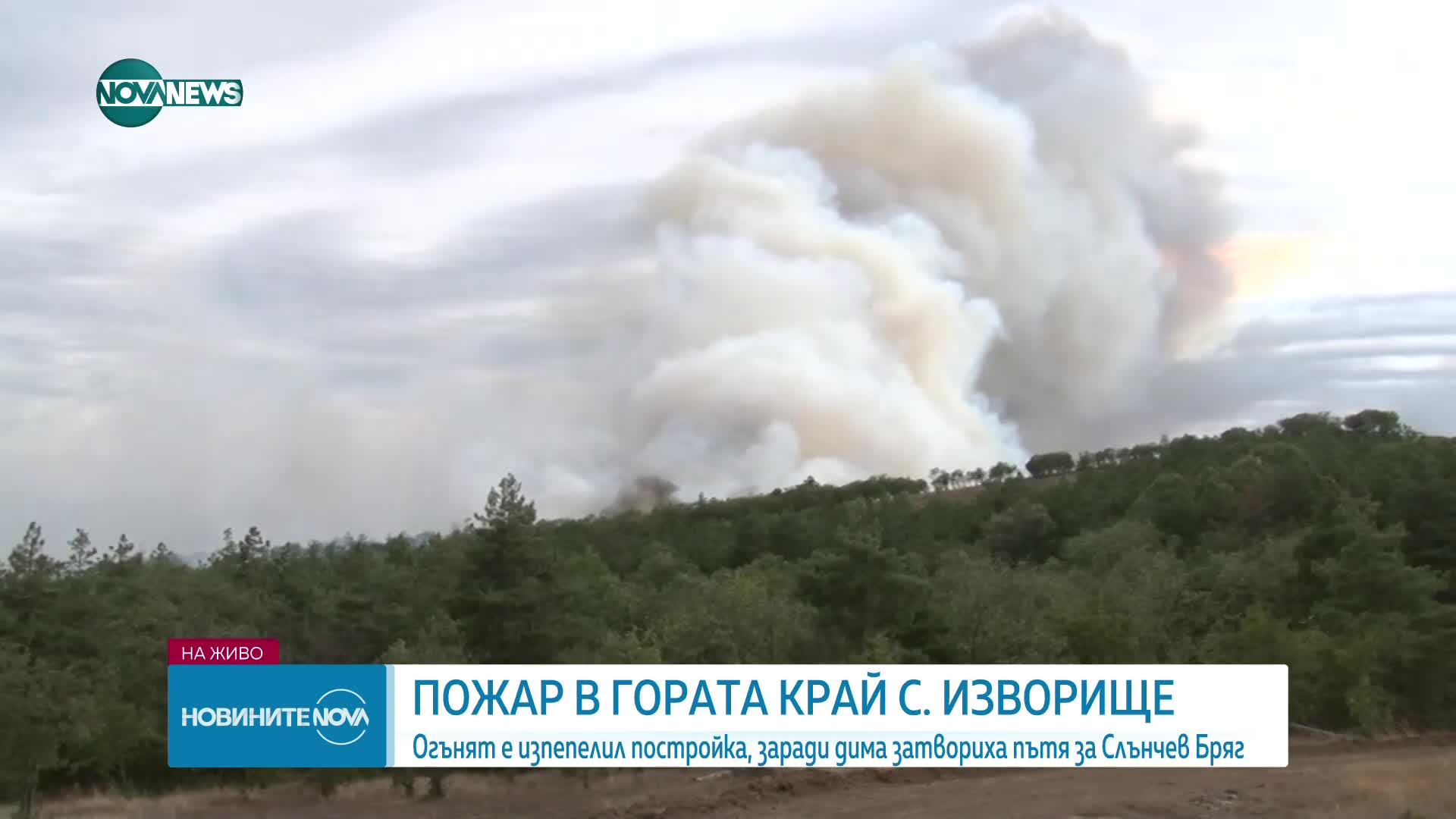 Пожар обхвана гора край бургаски села