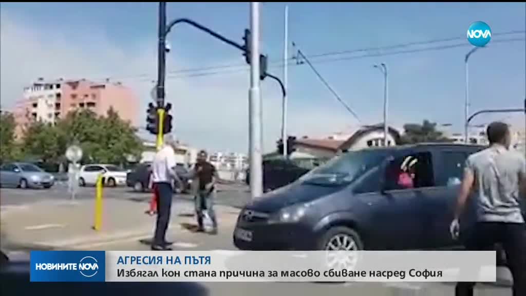 Инцидент с кон и каруца завърши с масов бой в София (ВИДЕО)