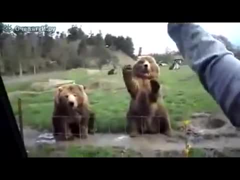 Животни имитират хора