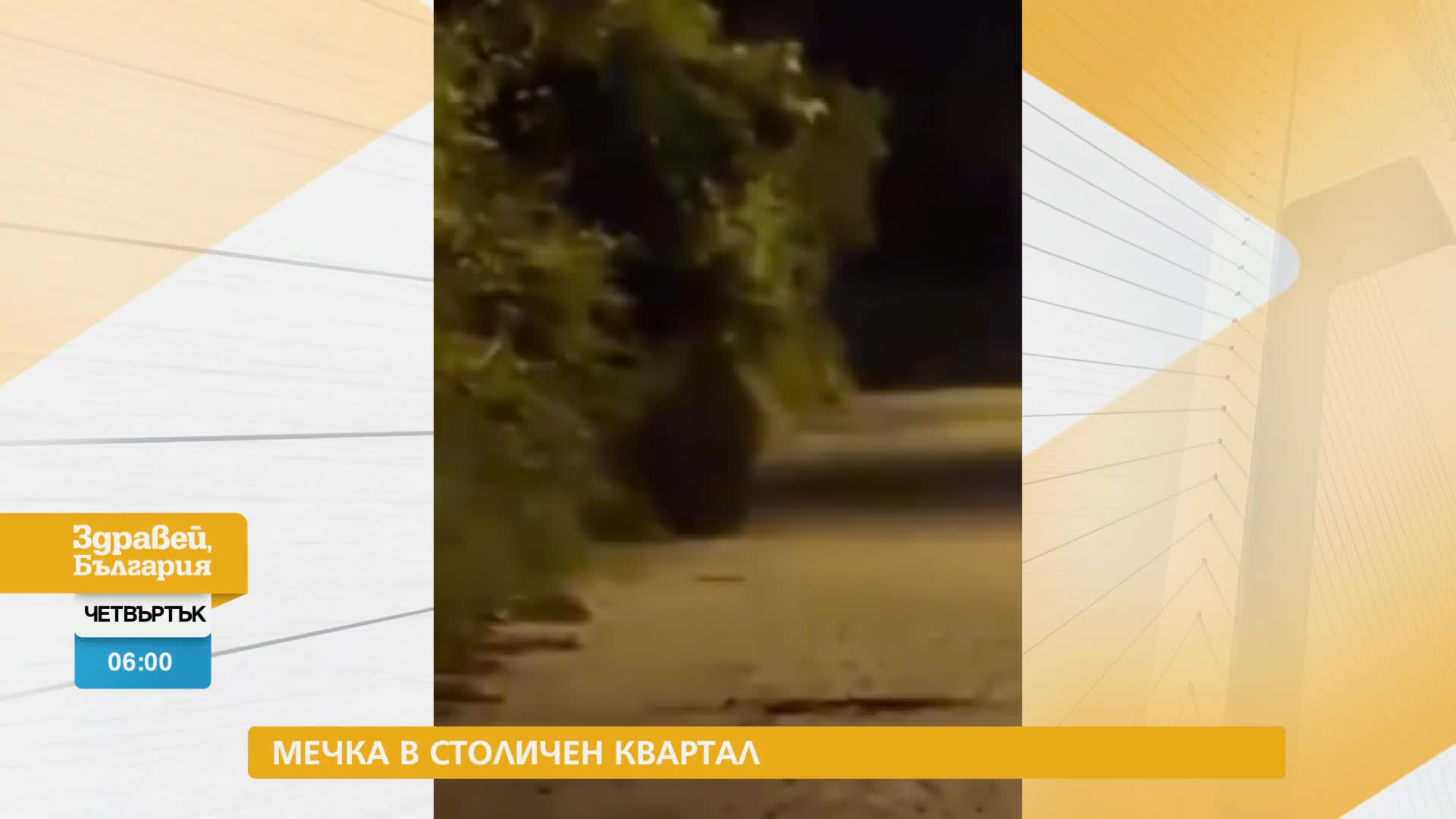 В „Здравей, България” на 12 юни очаквайте