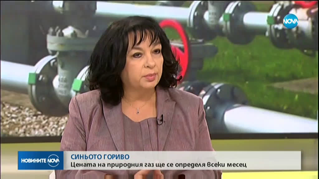 Теменужка Петкова: Цената на природния газ ще се определя всеки месец