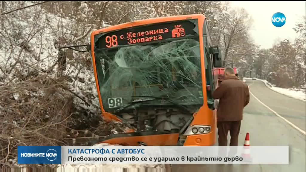Автобус се заби в дърво в София