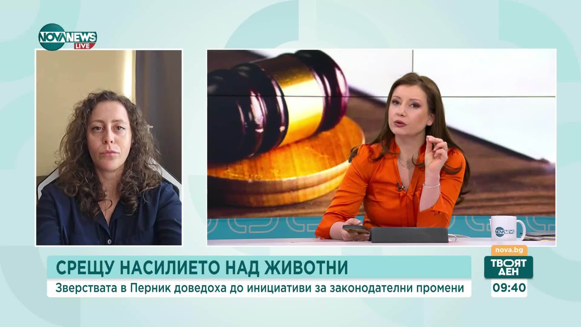 Адвокат Петкова: В предложенията за промени в НК заради насилието върху животни липсват хипотези