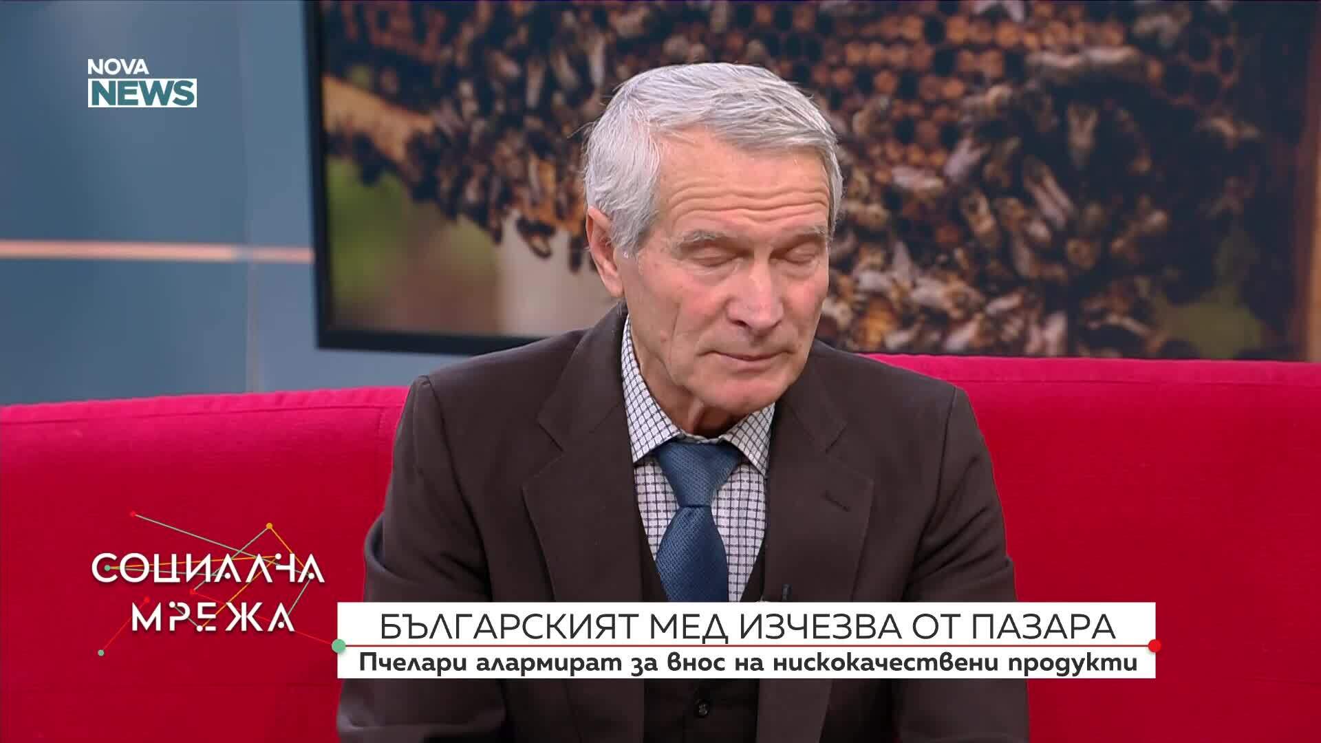 Българският мед изчезва от пазара, пчелари алармират за внос на нискокачествени продукти