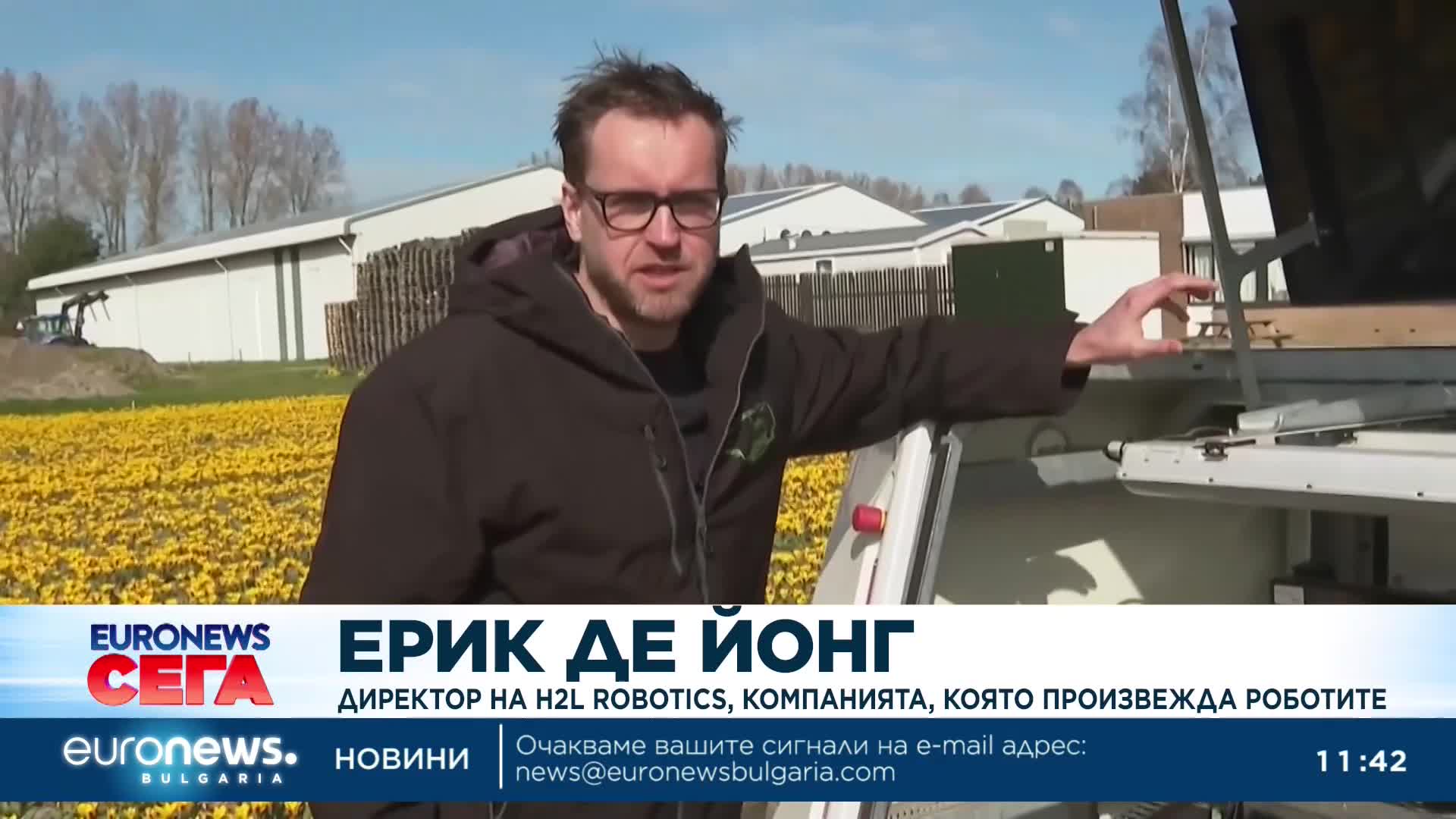 Улеснение за фермерите: Изкуствен интелект лекува лалетата в Нидерландия