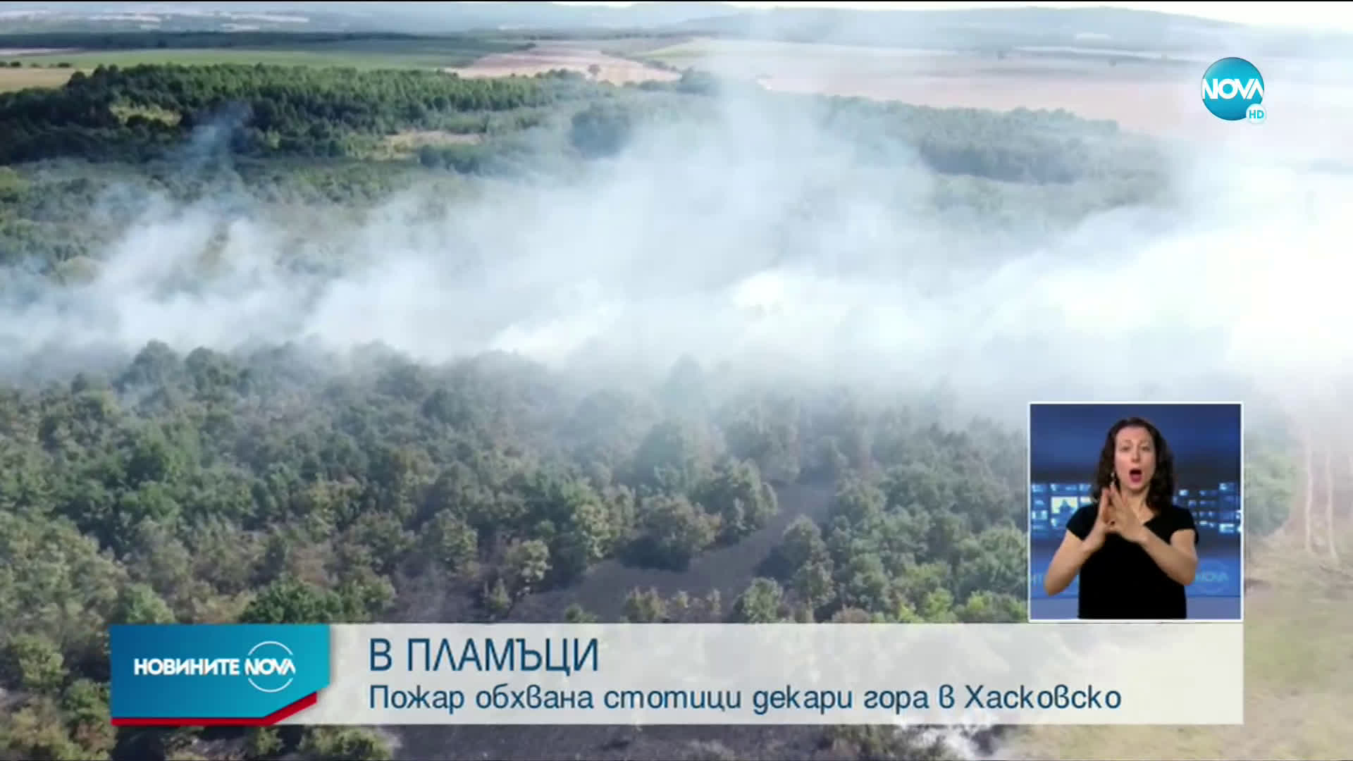пожарГорят стотици декари гора в Хасковско