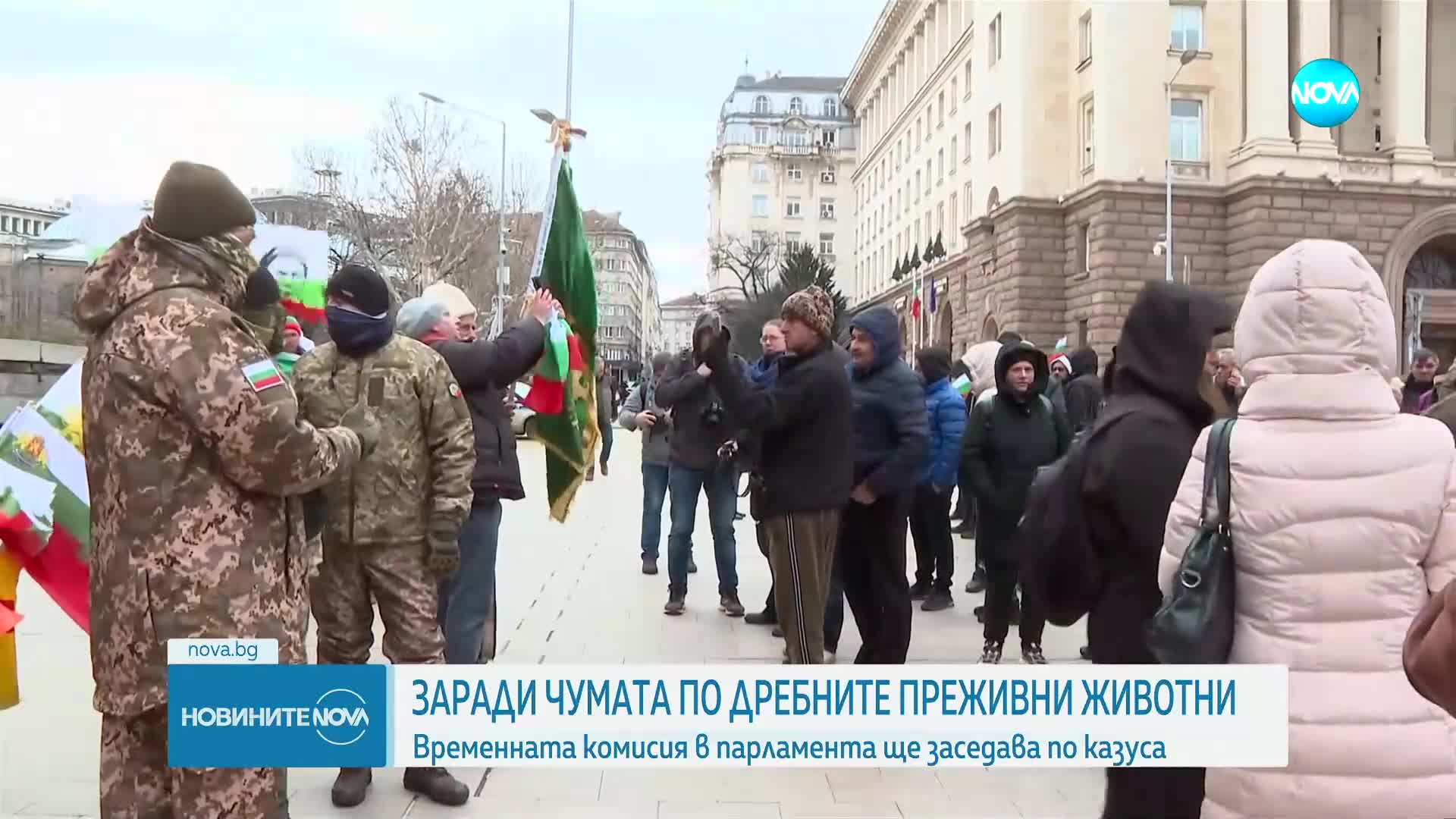 Чумата по животните: Временната комисия в парламента заседава по казуса