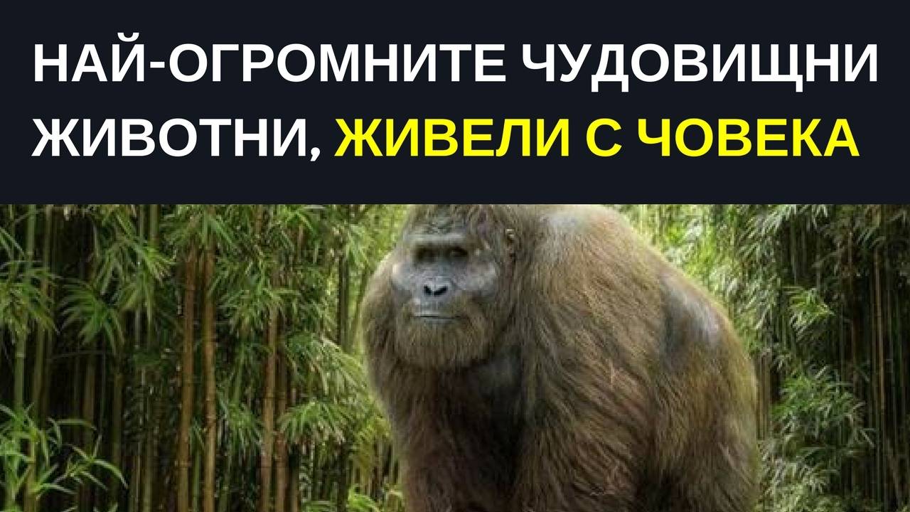 Най-огромните чудовищни животни, живели с човека.