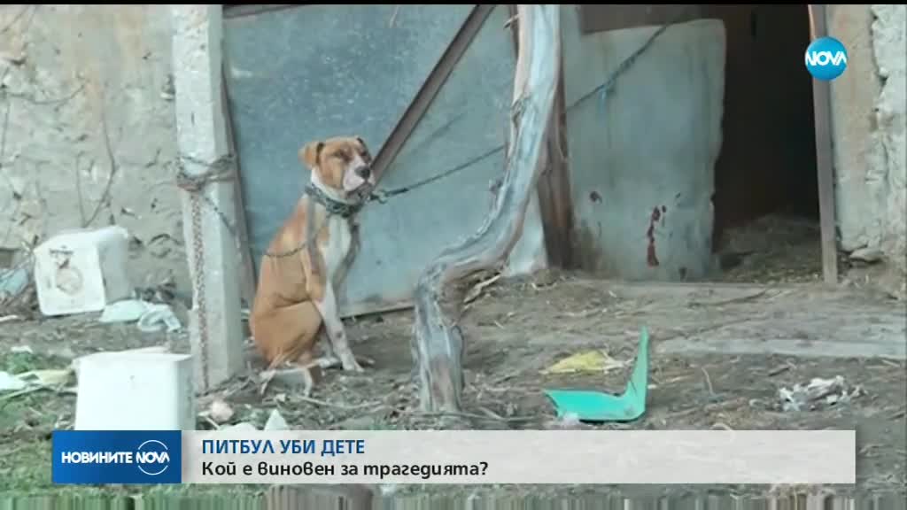 Собственикът на кучето, убило дете - с обвинение