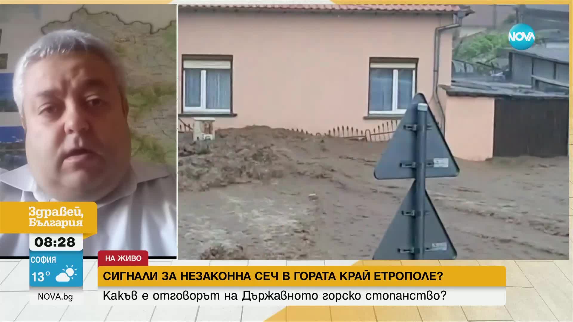 Има ли действително незаконна сеч в горите край Етрополе