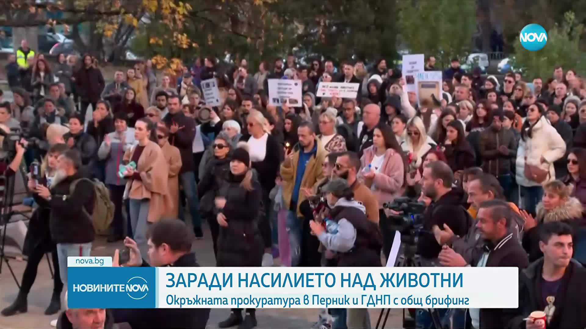 Заради насилието над животни: Окръжната прокуратура в Перник и ГДНП с общ брифинг