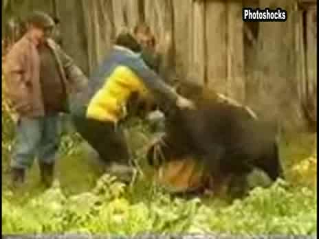Мечка Напада Жена