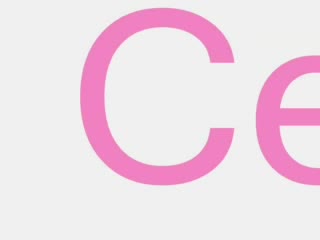 Джон Сина Срещу Кали