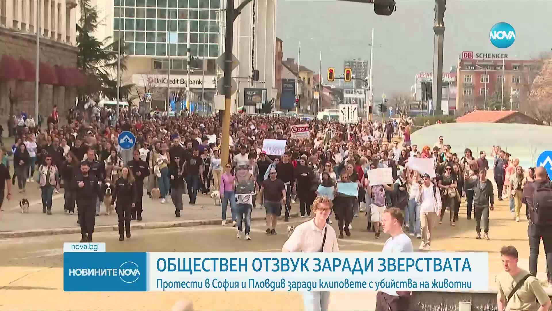 Протести в София и Пловдив срещу зверствата над животни