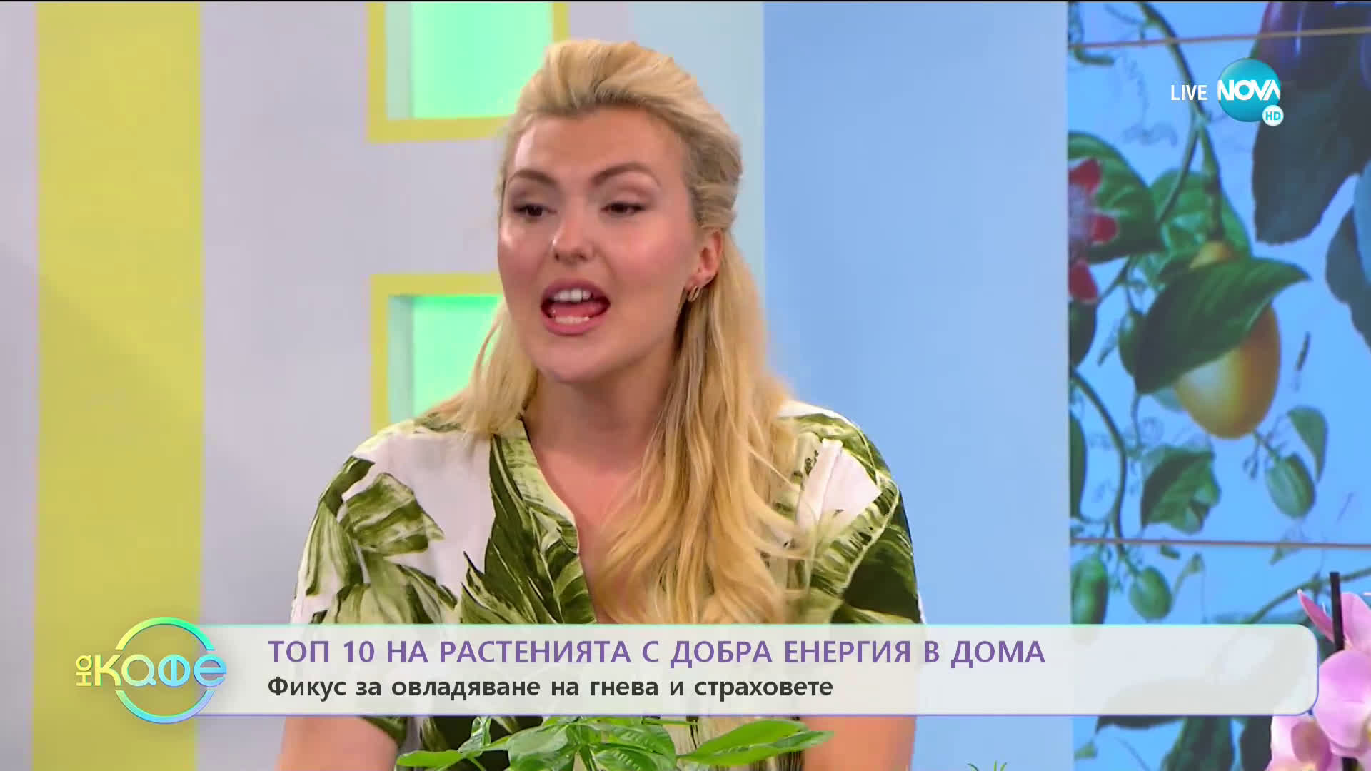 Топ 10 на растенията с добра енергия в дома - „На кафе” (22.07.2020)
