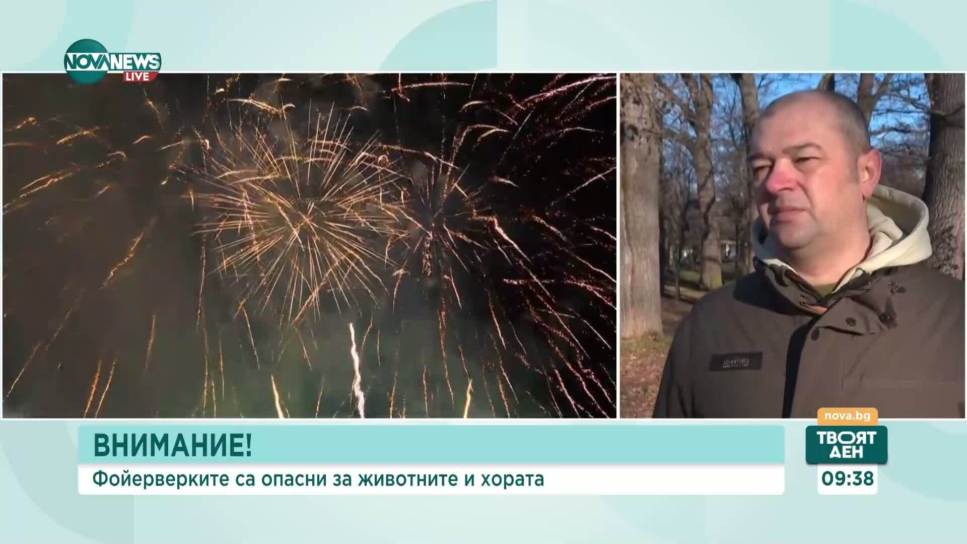 Експерти предупреждават: Пиратките застрашават животните