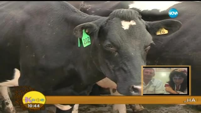 „На кафе” с българите по света” представя Светла и Димитър Коларови
