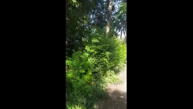 2 метра трева в ж.к. "Източен" в Пловдив