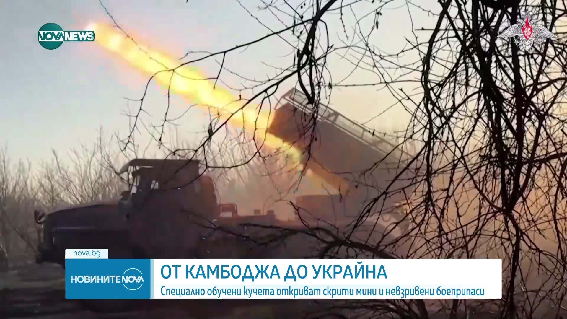 От Камбоджа до Украйна: Специално обучени кучета откриват скрити мини и невзривени боеприпаси