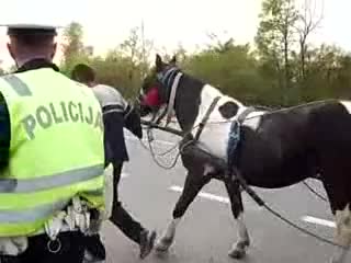 Нишо не съм пил, ама нищо 