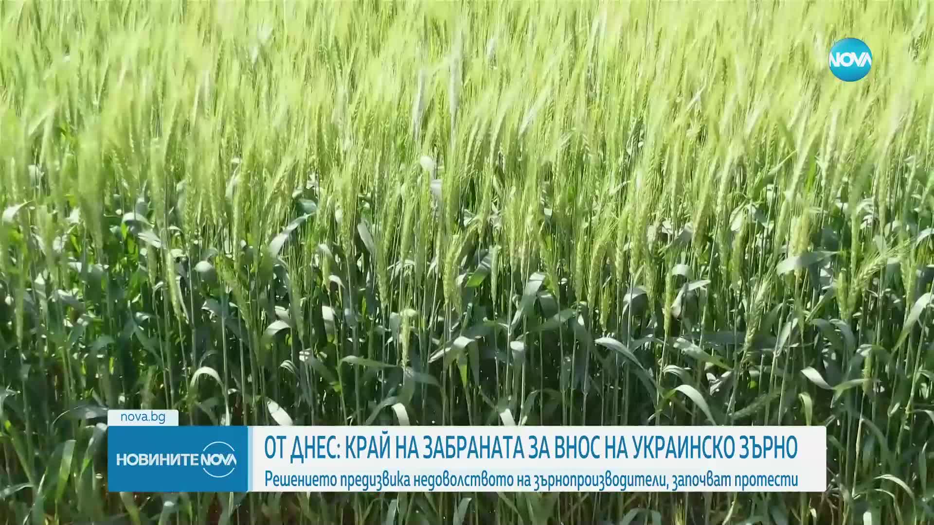 Зърнопроизводителите у нас с протести из цяла България