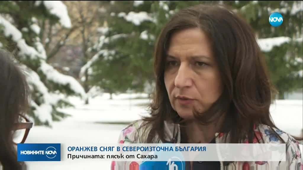 Жълтеникав сняг валя в Североизточна България