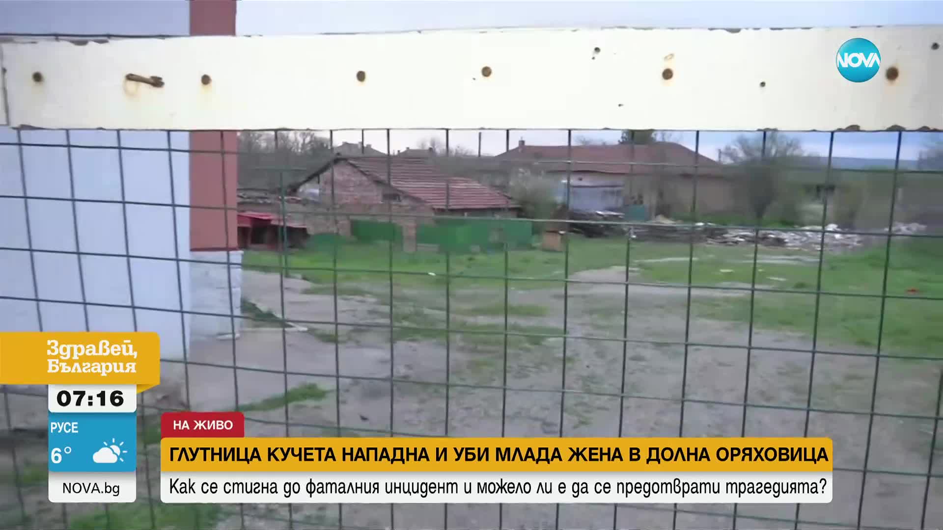 Кметът на Долна Оряховица след трагедията: Нямаме правомощия да се справим с проблемните кучета