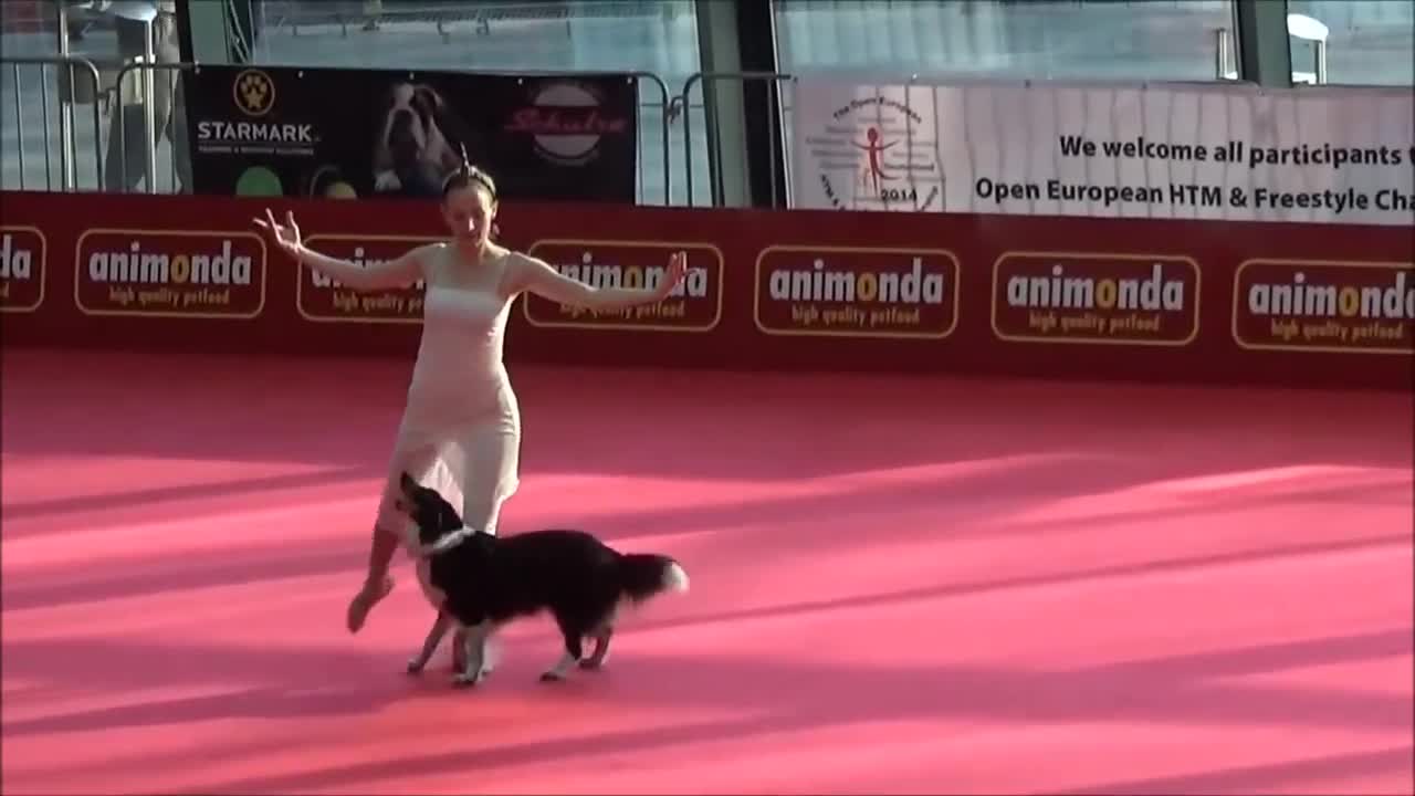 Куче и момиче играят балет