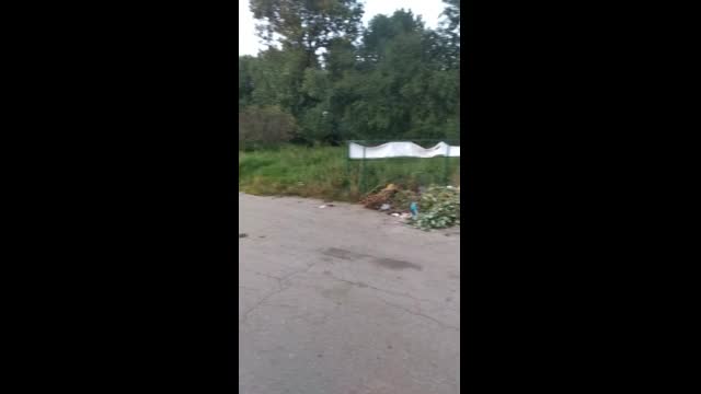 Боклуци