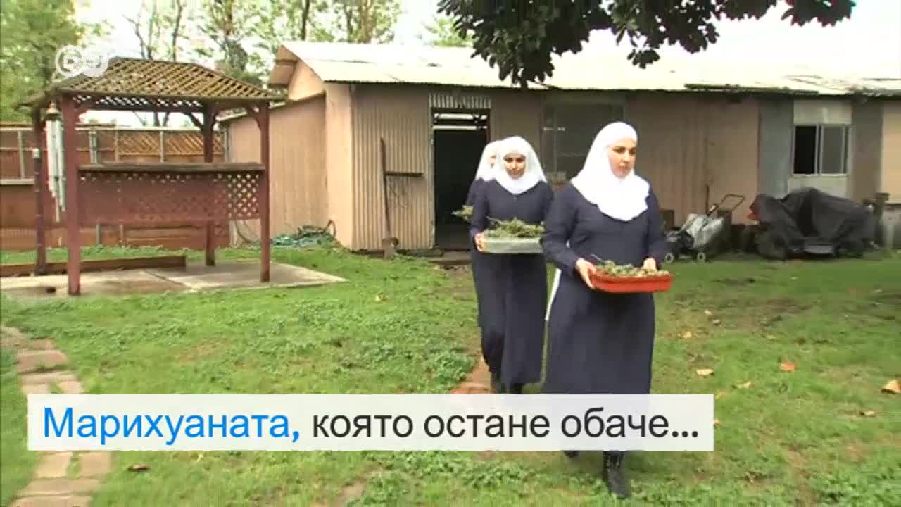 "Монахините на марихуаната"