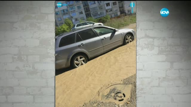 „Моята новина” Изберете „българското”