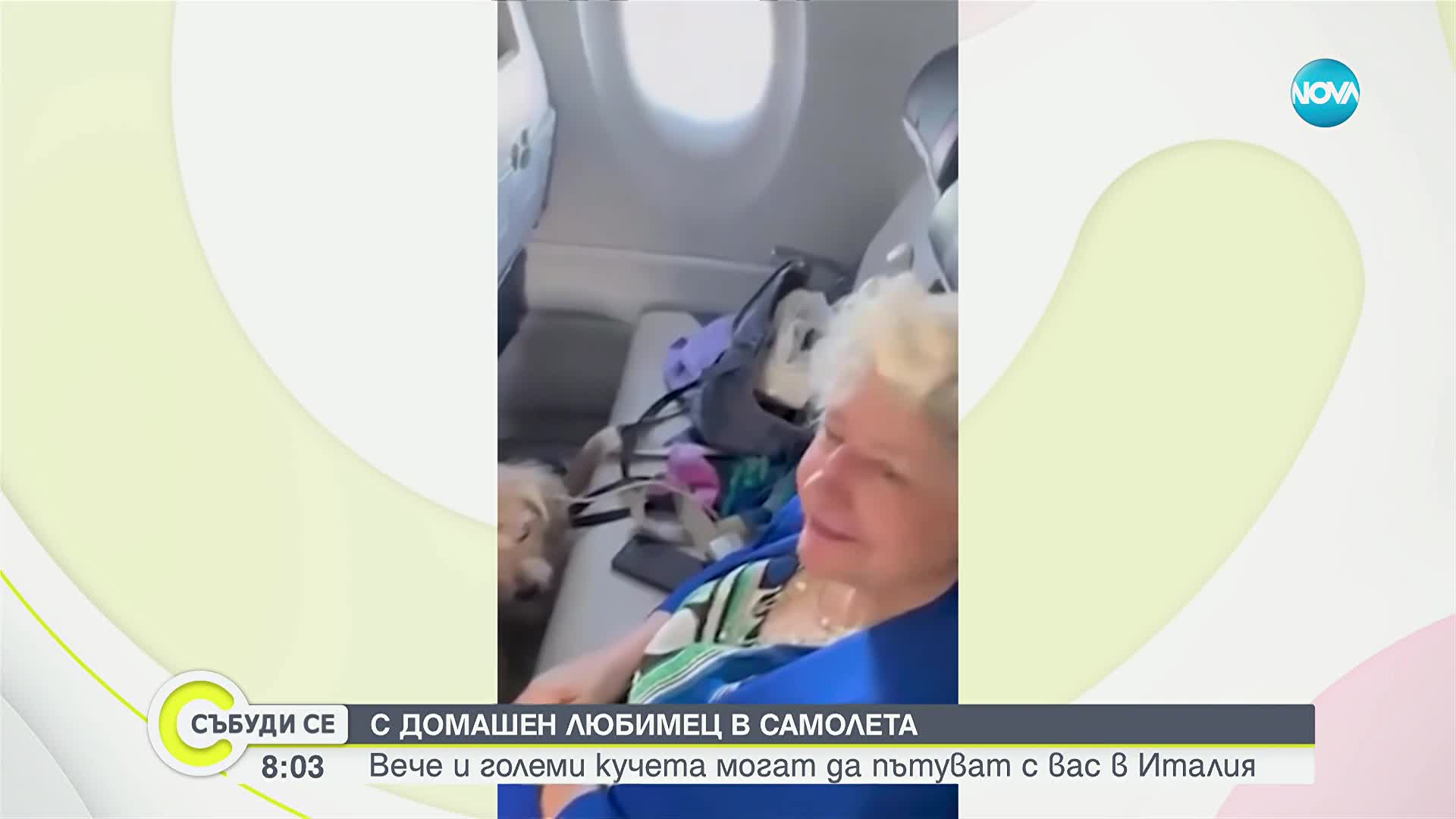 Кучетата в Италия вече могат да пътуват редом със стопаните си в самолета