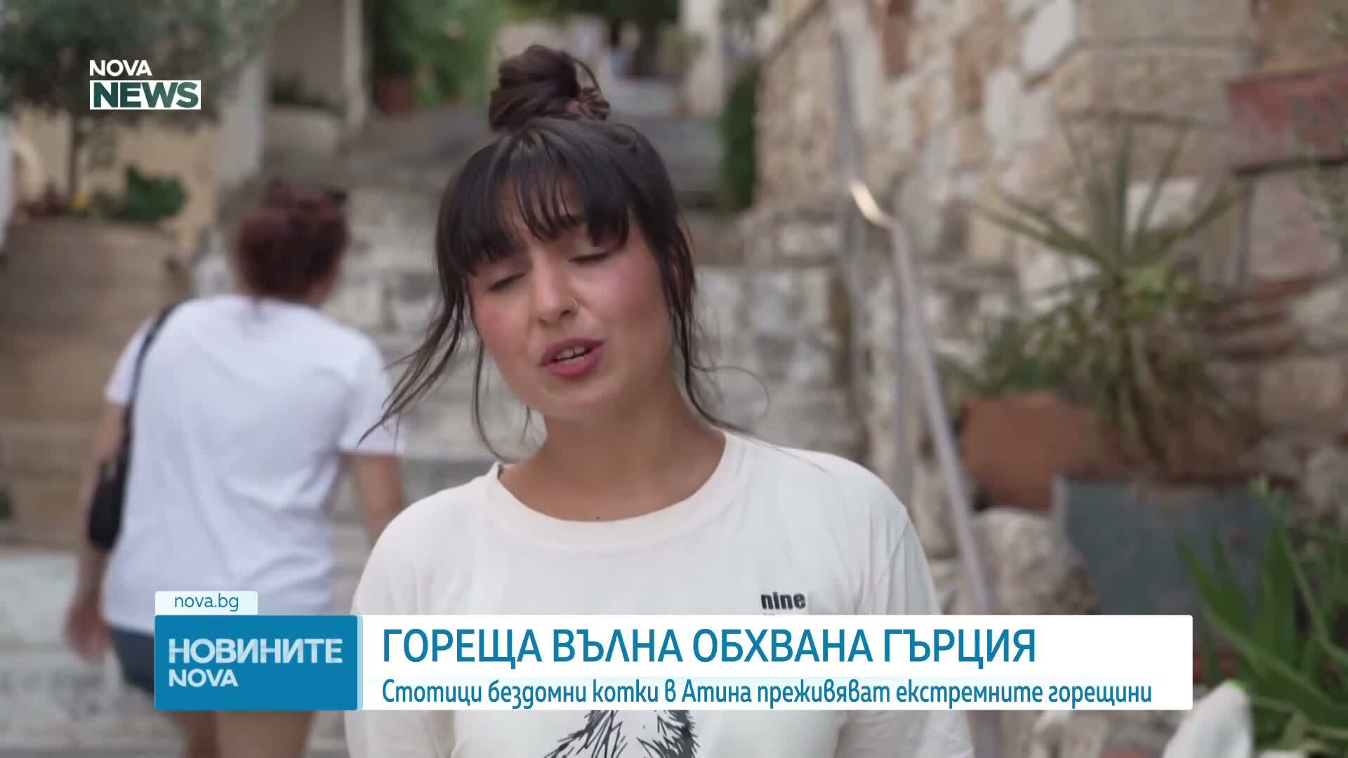 Доброволци помагат на бездомните котки в Атина в жегите