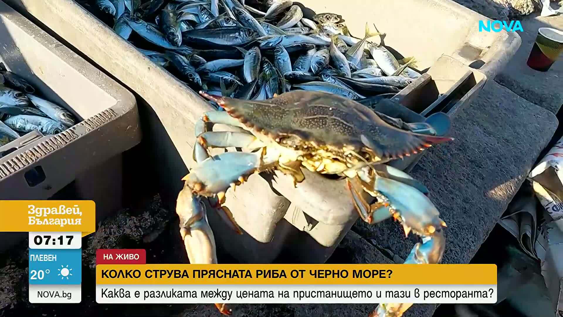 От рибарската мрежа до ресторанта: Как расте цената на рибата