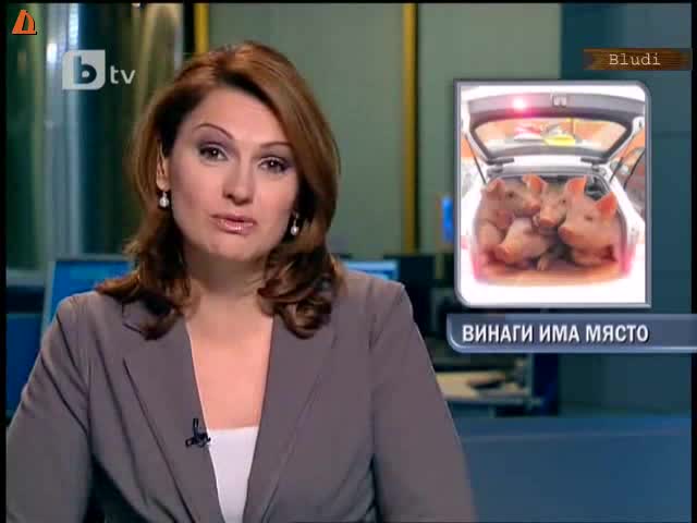 22 прасета в Лада в Димитровград