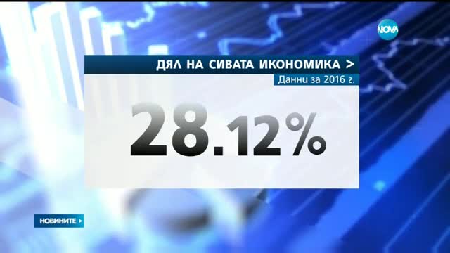 Икономиката бавно, но сигурно изсветлява