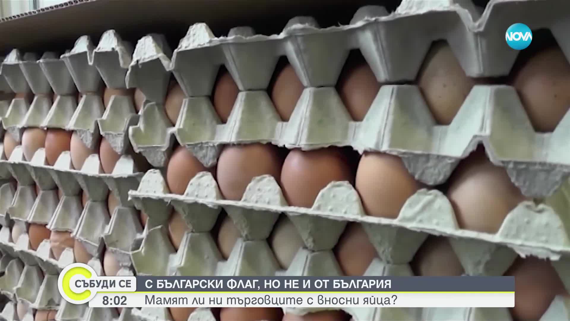 С български флаг, но не и от България: Мамят ли ни търговците с вносни яйца?