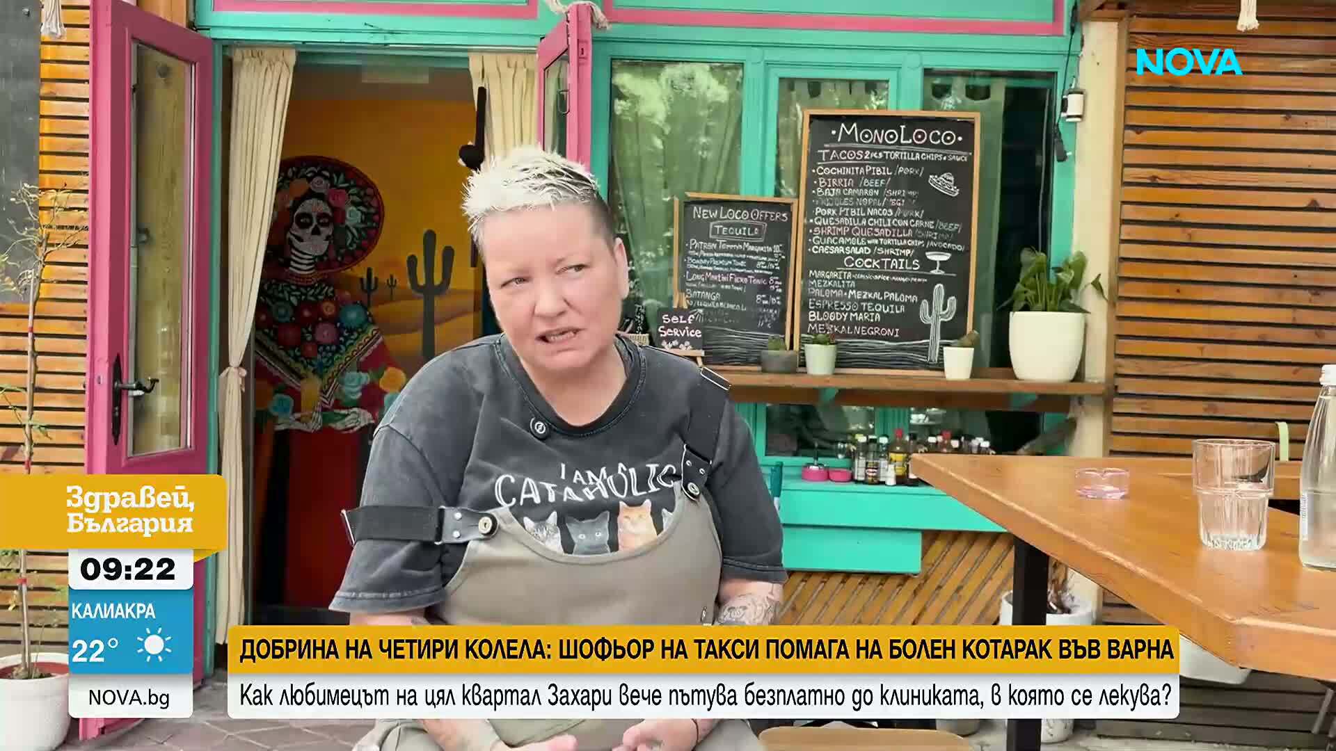 Добрина на четири колела: Шофьор на такси помага на болен котарак във Варна