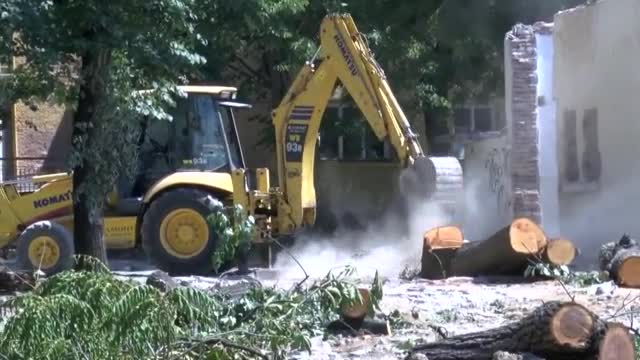 Отсякоха застрашен вид кестени в Казанлък