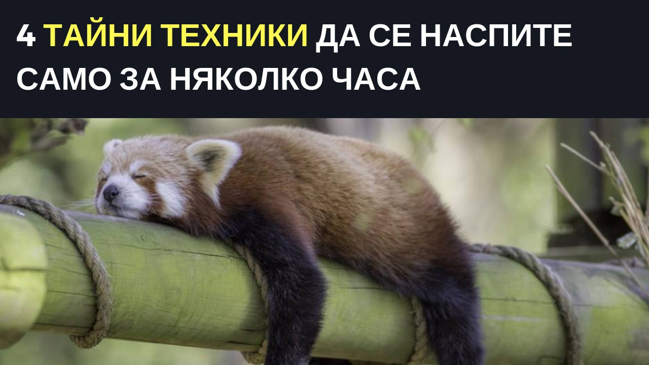 4 тайни техники да се наспите само за няколко часа