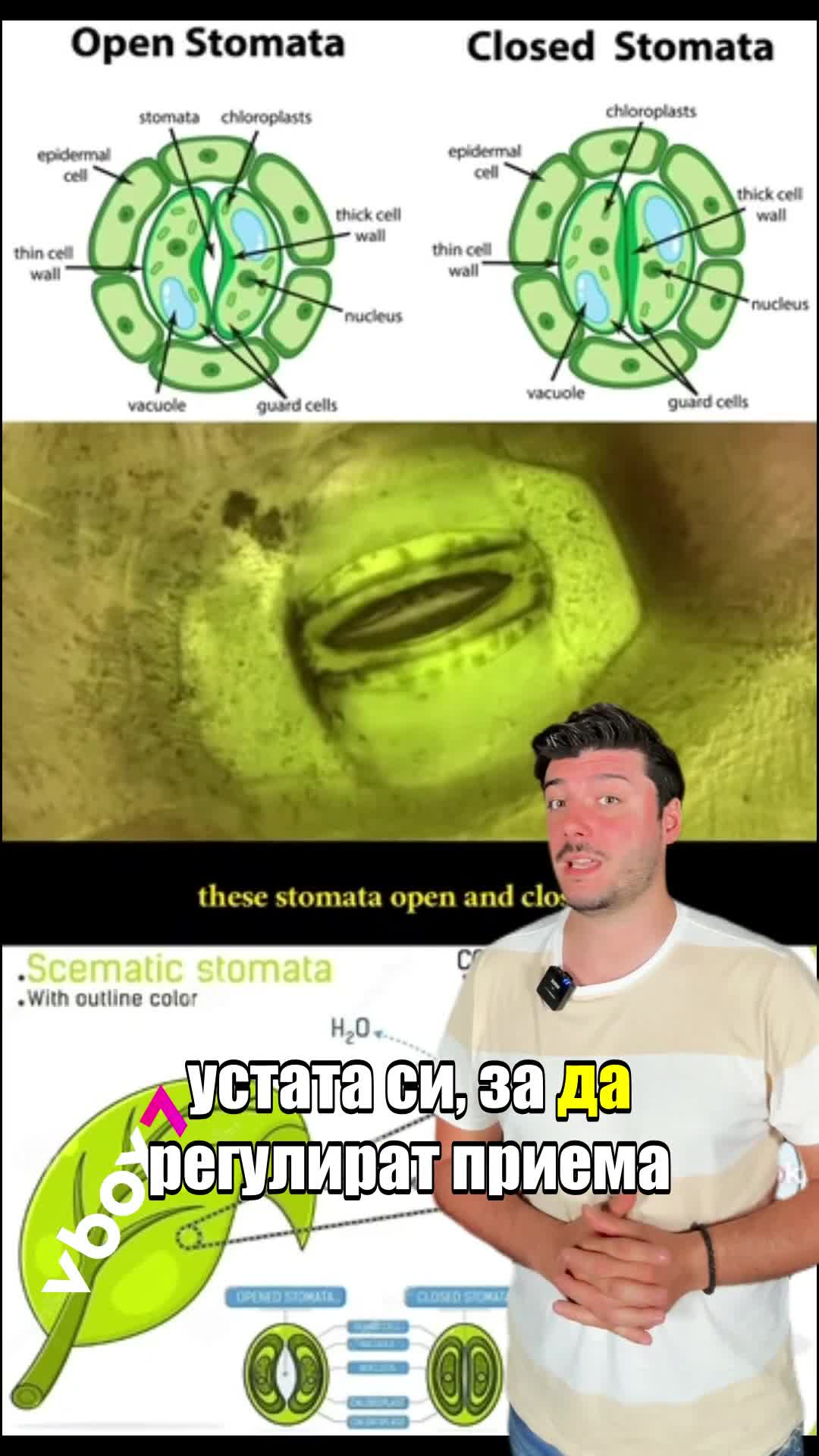 Откачени кадри показват как растенията „дишат“!ВИЖТЕ🧐😱