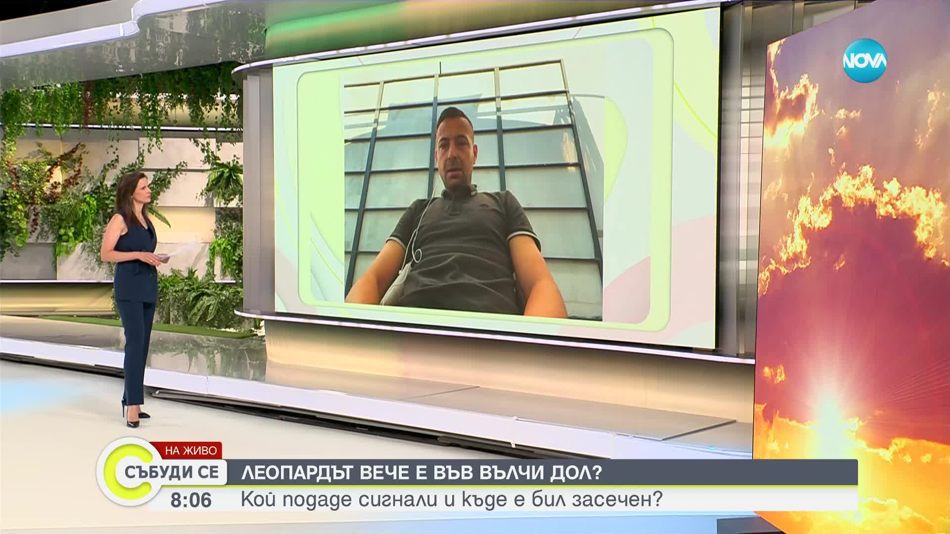Откриха ли следи от черния леопард във Варненско