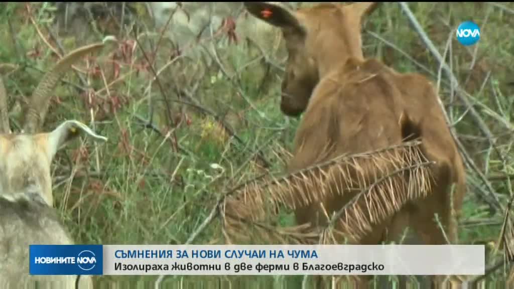 Новините на NOVA (27.07.2018 - лятна късна)