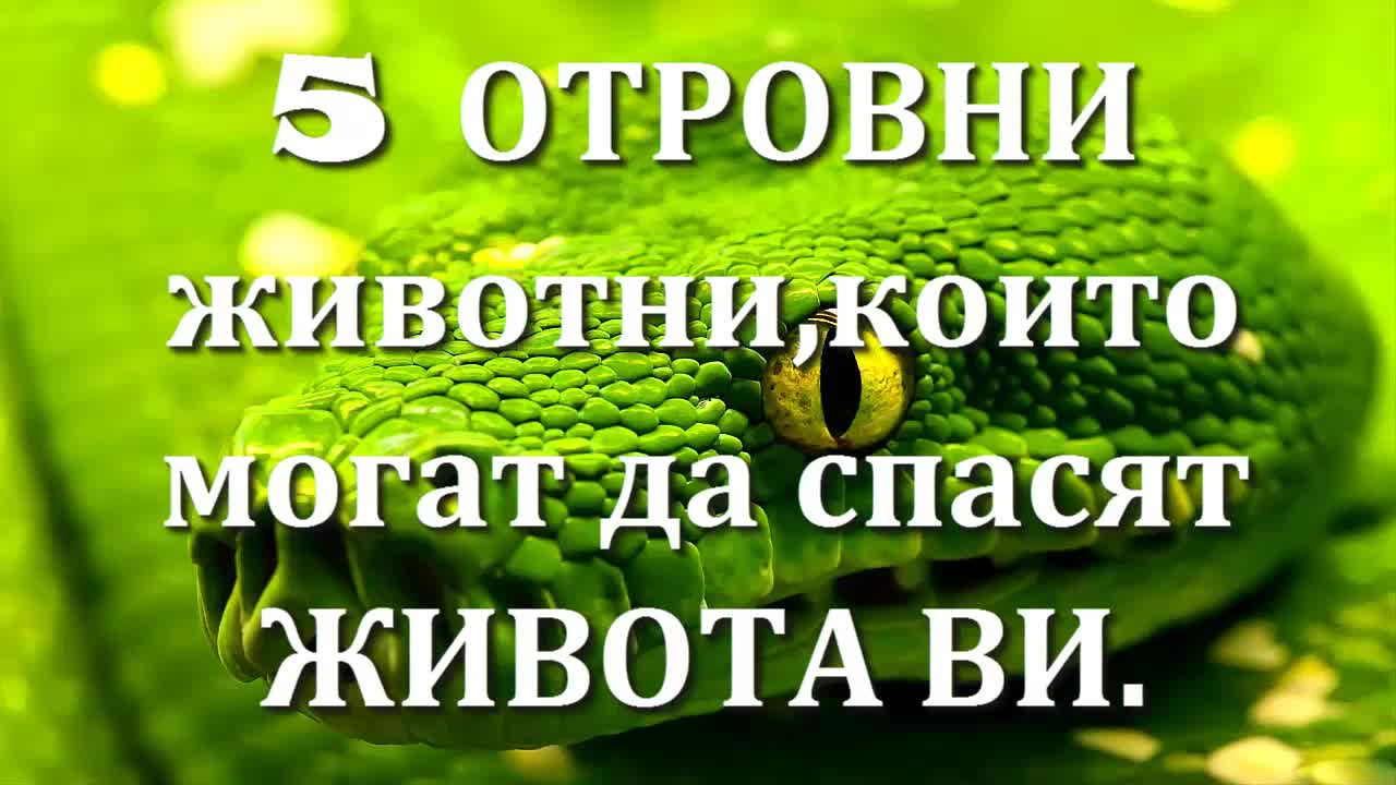 5 отровни животни, които могат да спасят живота ви.