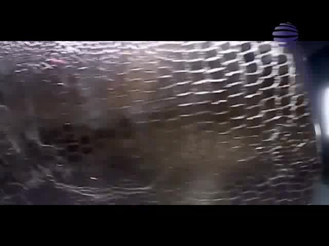 Дългочаканият клип Галена и Малина - Много сладко(високо Качество)