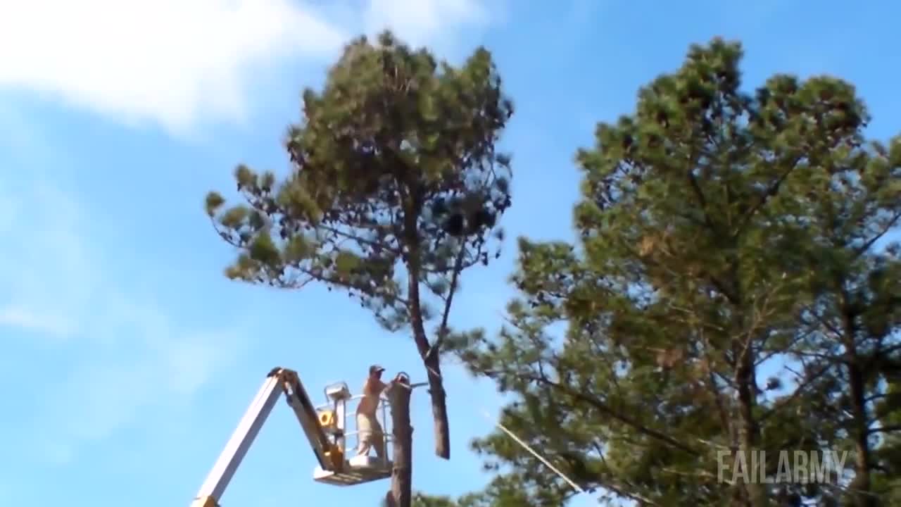 Хора срещу дървета провали - Failarmy